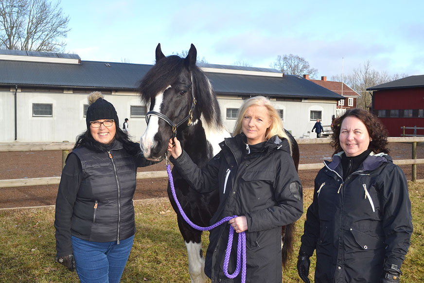 Ingrid Eriksson, ridlärare på Nybro ridklubb, och hästägarna Towe Danielsson och Eva Bynro, tillsammans med Sheridan som nyligen röstades fram till årets ridskolehäst.